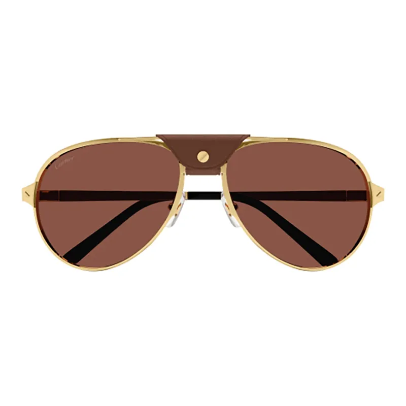 Cartier Aviator Frame Sunglasses-1