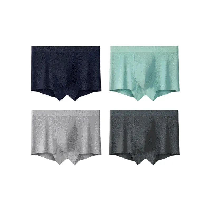 Ordifen SS24 Underpants Men's 4 Pack-13
