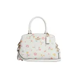 Bag+Dust Bag