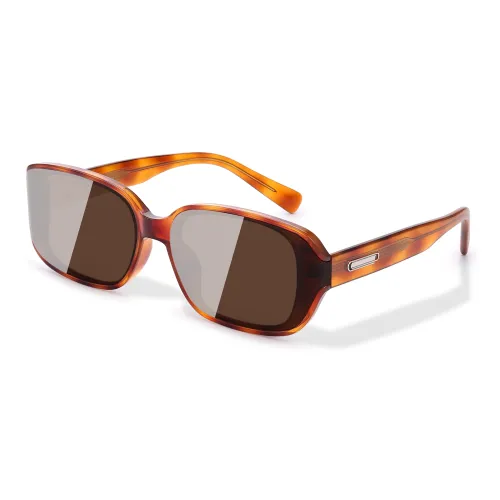 PULAIS TR/Memory Plastic Irregular Shape Sunglasses Women's