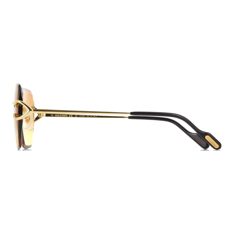 Cartier Santos De Cartier Pilot frame Sunglasses-2
