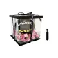 Pink Rose Box+Pump