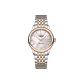 Rose Case White Dial Rose Steel Band (Striped)