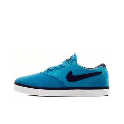 Nike SB Eric Koston Skateboard Shoes Men Low-Top Blue/White/Black