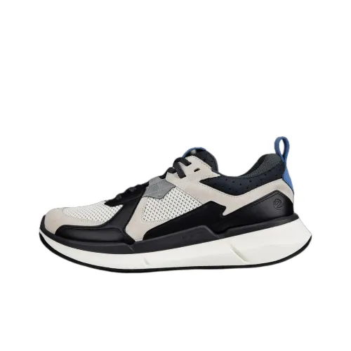 Ecco Biom 2.2 Low Top Casual Shoes Men's Gray Black