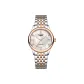 Rose Case White Dial Rose Steel Band (Roman)