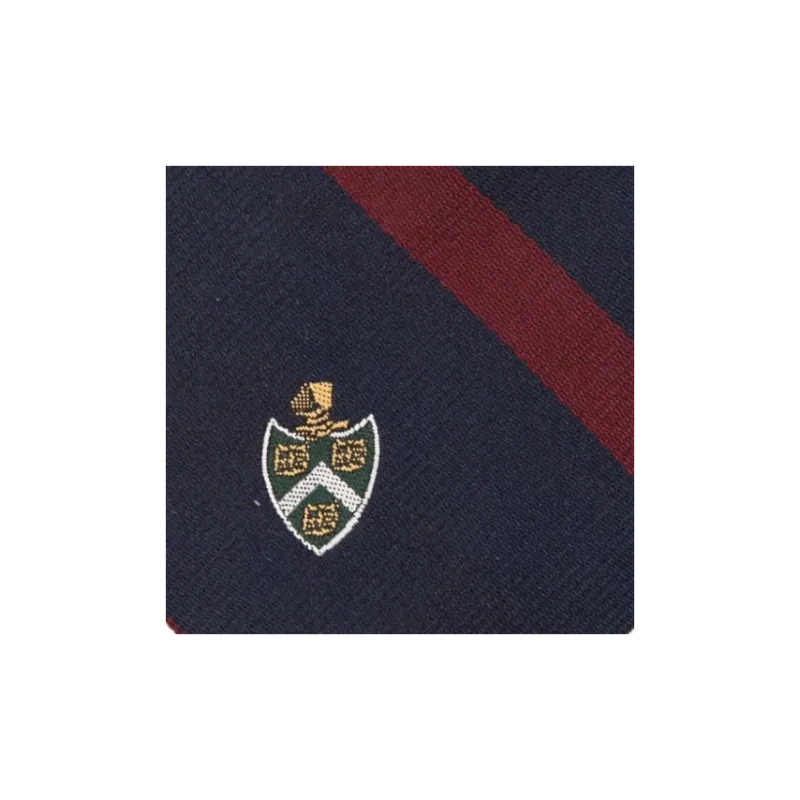 Polo Ralph Lauren Ties Kids' Blue-2