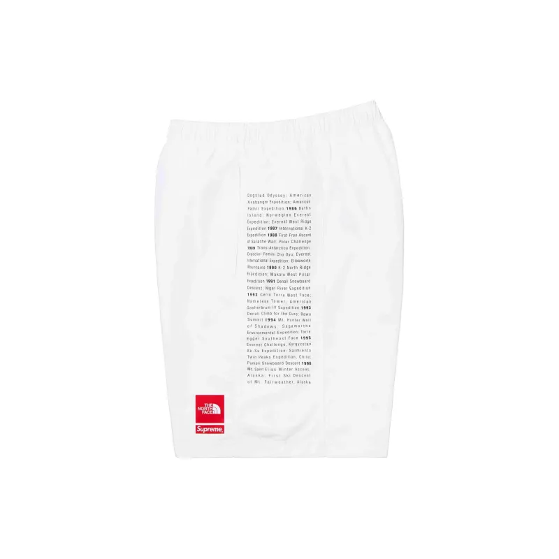 Supreme The North Face Nylon Short-4
