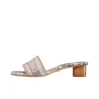 DIOR Dway Antibacterial Slide Slippers Women's Gray