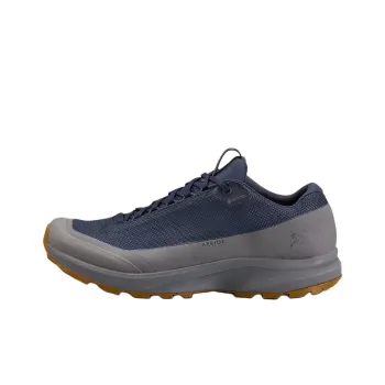 Arcteryx Aerios FL Cushioned Slip Resistant Abrasion Resistant Low Top Trekking Shoes Men's Blue