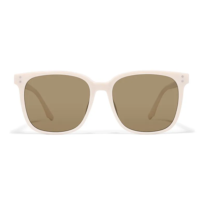 Sagawa Plate Frame TR/Memory Plastic Sunglasses Unisex-3