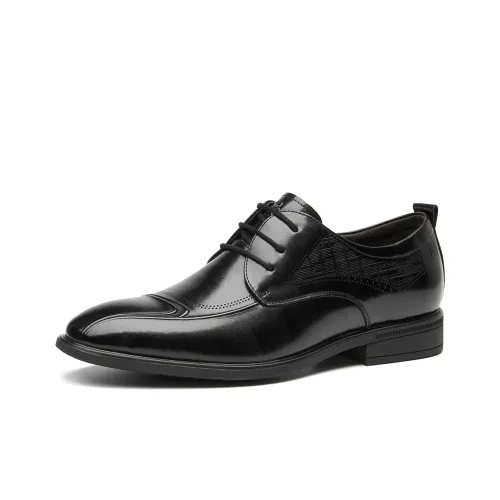 Spider King Dress Shoes Men Low-Top Black