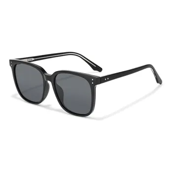 Sagawa Plate Frame TR/Memory Plastic Sunglasses Unisex