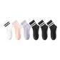 Black 3+Light Purple 1+Daylily Pink 1+White 1