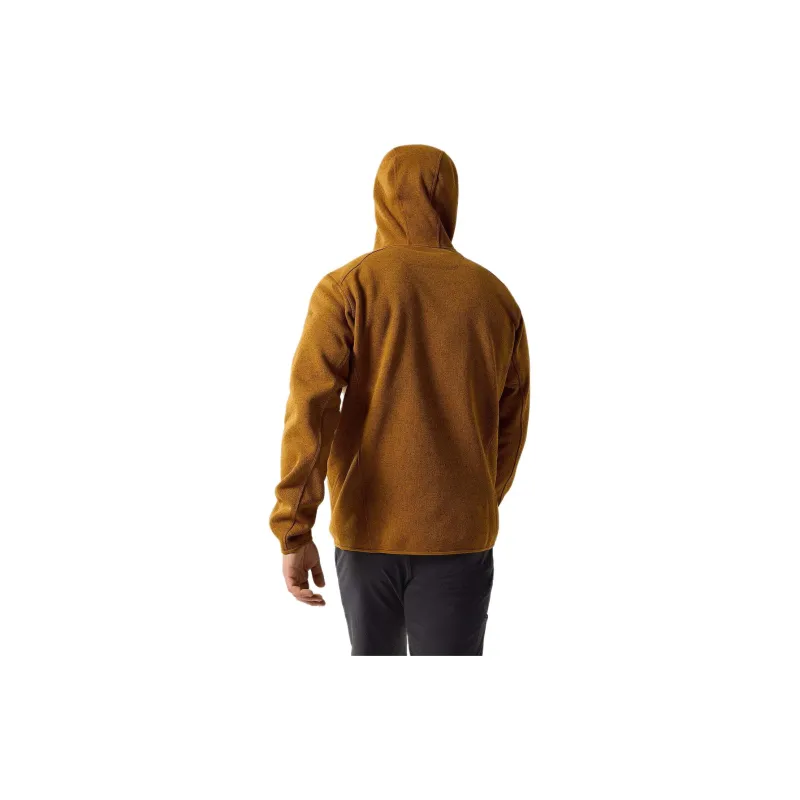 Arcteryx COVERT Sweatshirt Men's-14