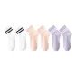 White 2+Light Purple 2+Daylily Pink 2