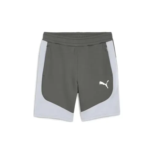 PUMA Evo Casual Shorts Men Gray