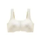 Champagne White