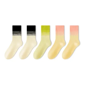 Taste The Color Knee High Socks Women's 5 Pack