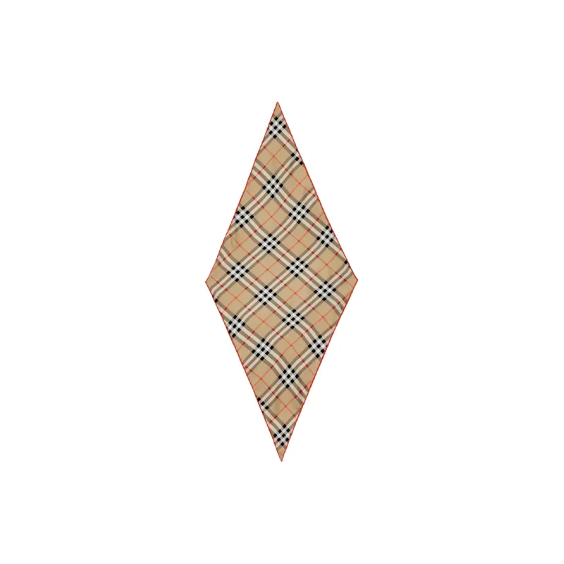 Burberry Check Silk Scarf-0