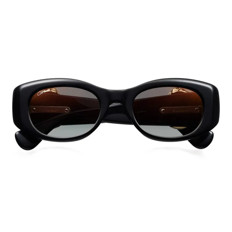 CARTIER Plate Irregular Shape Sunglasses Unisex Black-1