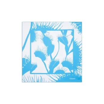 Ferragamo Venus print Silk Scarf