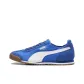 Blue White