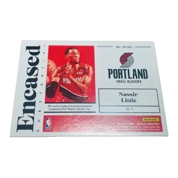 PANINI Nasir Little Player Card Product Access Sports Cards-7
