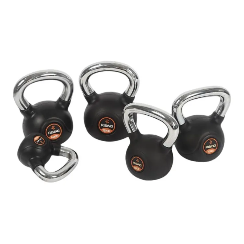 Ruisi Kettlebells Unisex Comprehensive Fitness Exercises-0