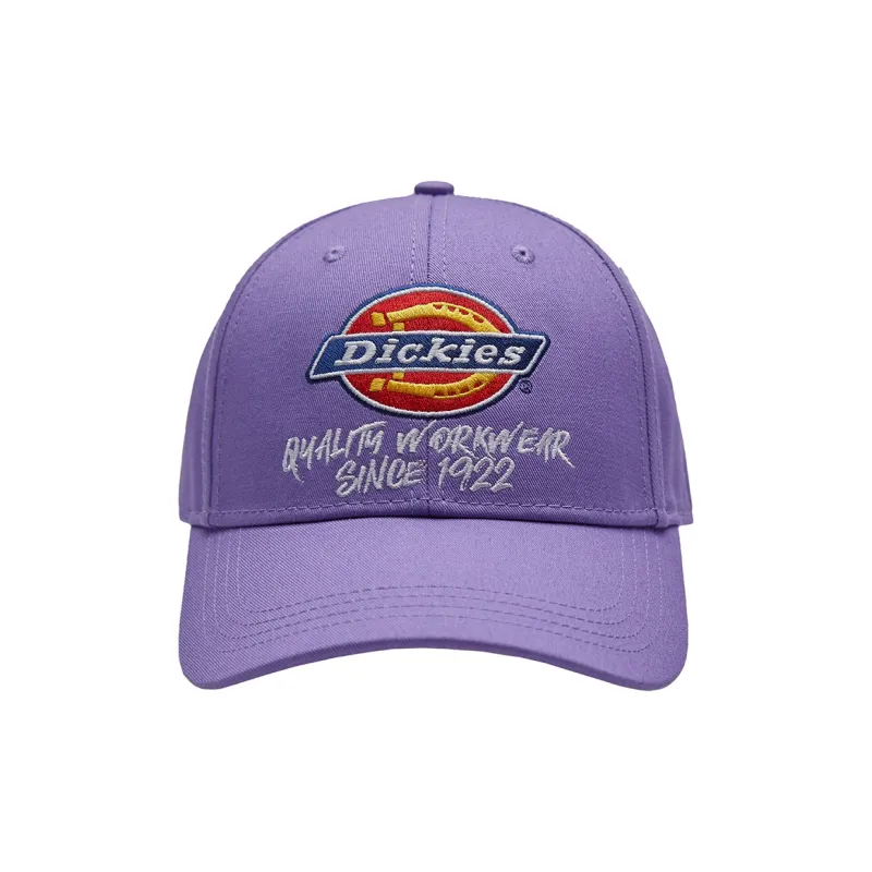 Dickies Baseball Caps Kids-6