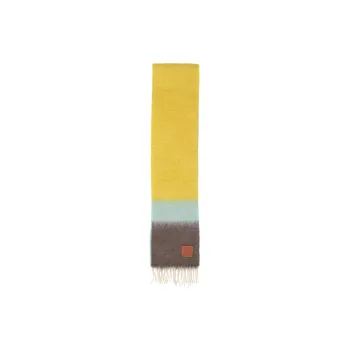 LOEWE Knit Scarves Women's