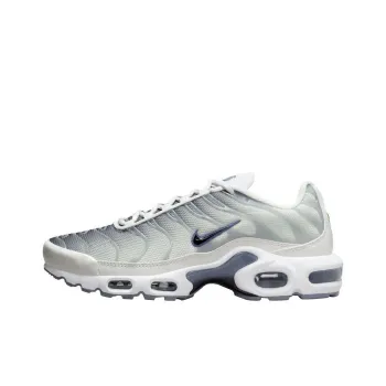 Nike Air Max Plus Smoke Grey Ashen Slate Women's