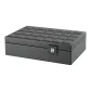 [Storage Collection]Black Apricot[10 Watch Slot]