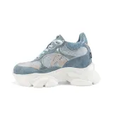Blue Gray