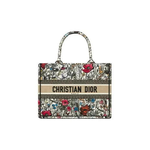 DIOR BookTote Handbags