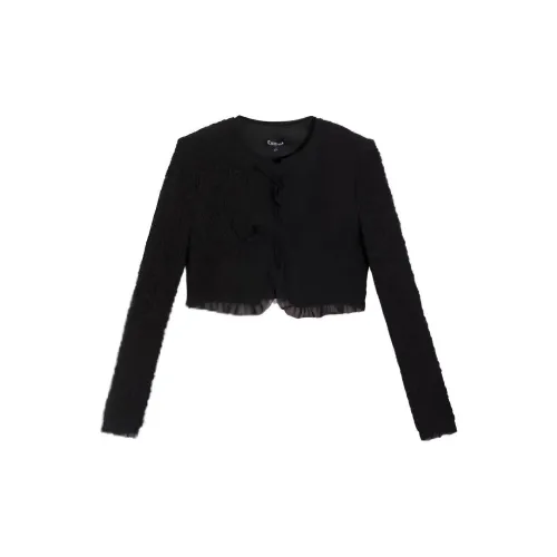 Bebe Jackets Women's Black