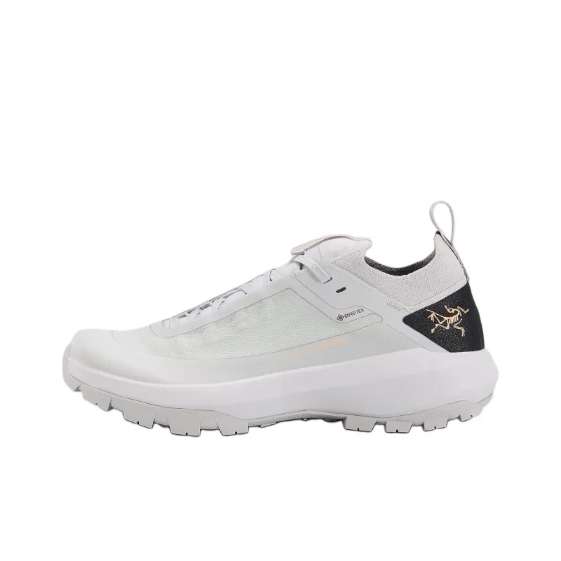 Arcteryx Verte Anti Slip Wear Resistant Low Top Hiking/Trekking Shoes Women's Gray-0