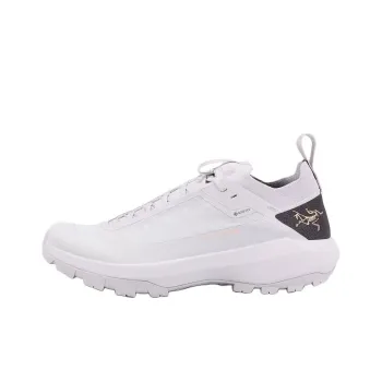 Arcteryx Vertex GTX Wear Resistant Low Top Hiking/Trekking Shoes Men's Gray