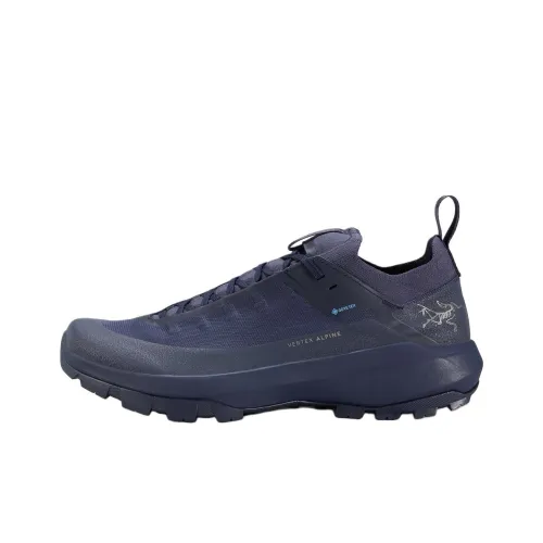 Arcteryx Vertex GTX Hiking / Trekking Shoes Men Low-Top Dark Blue