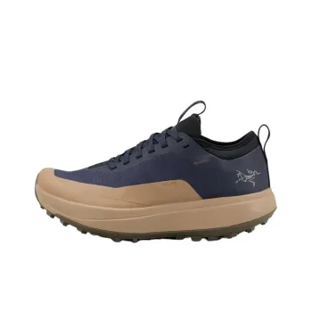 Arcteryx SYLAN Anti Slip Wear Resistant Low Top Running Shoes Women's Blue Brown