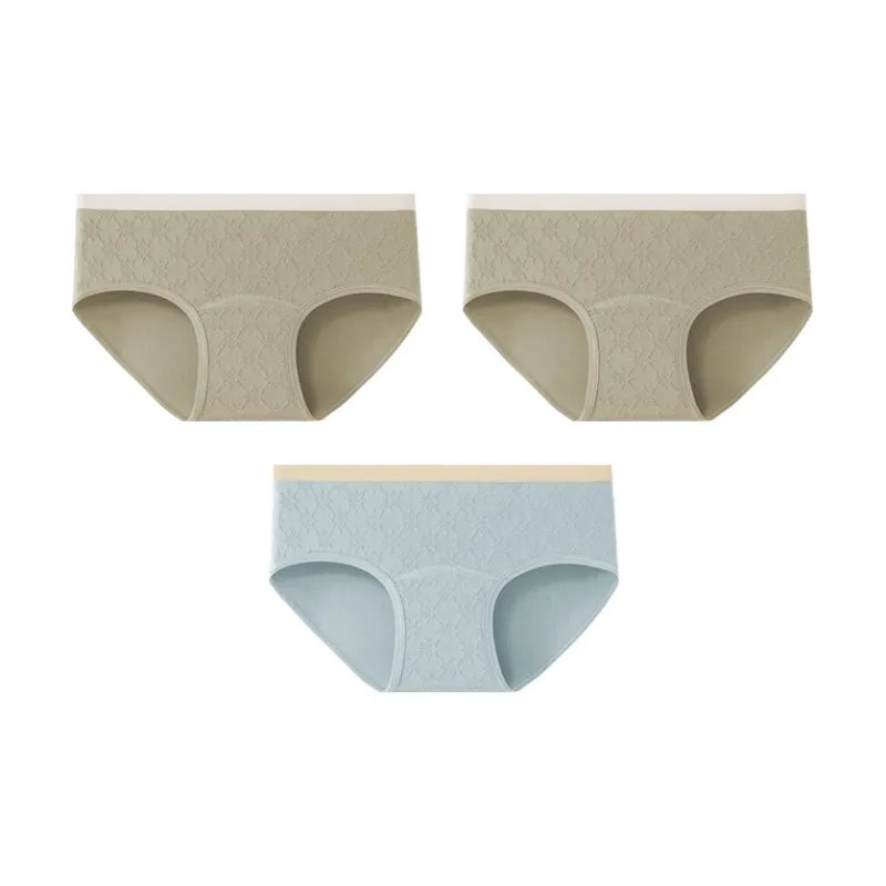 Ordifen Underpants Women's 3 Pack-28