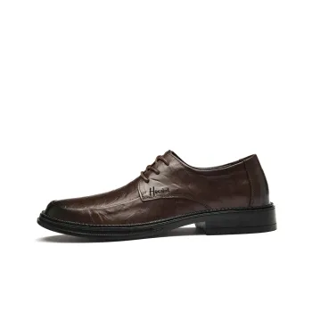 Extravagant Dress Shoes Men's Brown