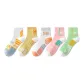 1 White Blue, 1 Ginger Yellow, 1 White Pink, 1 Pink, 1 Light Green