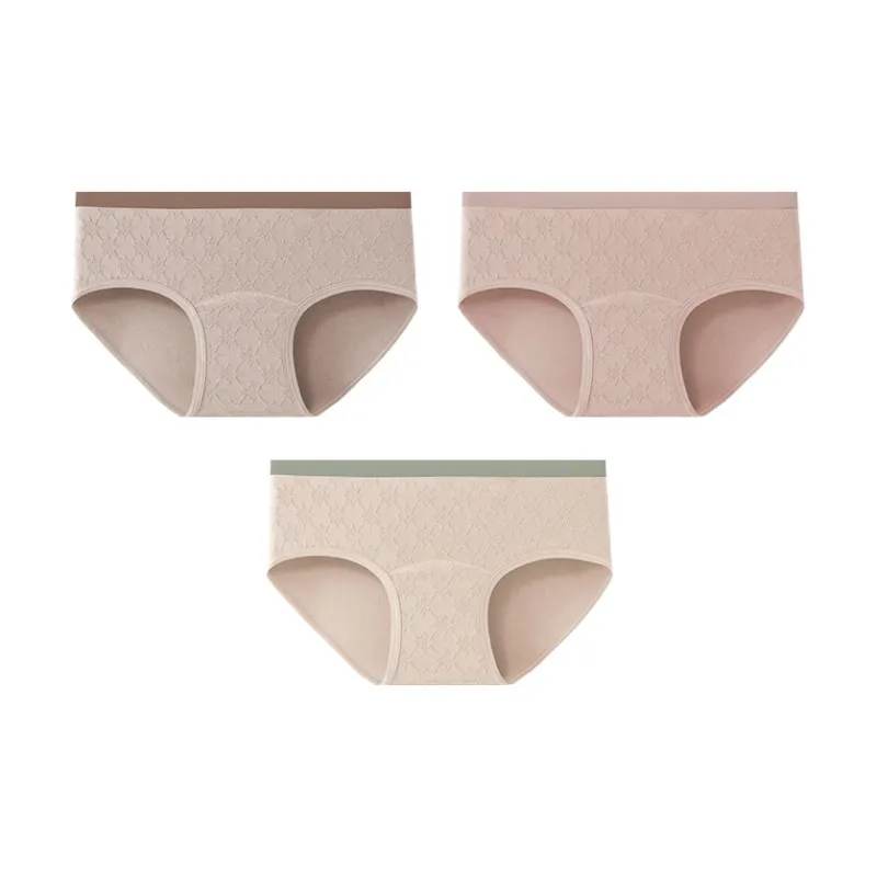 Ordifen Underpants Women's 3 Pack-12
