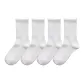 White 4-Pack