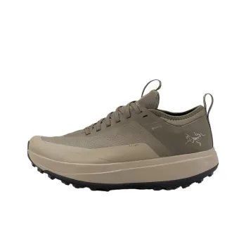 Arcteryx SYLAN GTX Anti Slip Wear Resistant Low Top Trail Running Running Shoes Men's Vintage Green