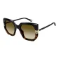 Tortoiseshell