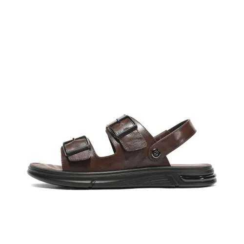 BELLE Beach Sandals Men's Black, Brown