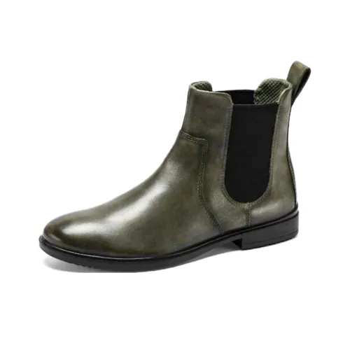 Ecco Chelsea Boots Women's Warm Gray