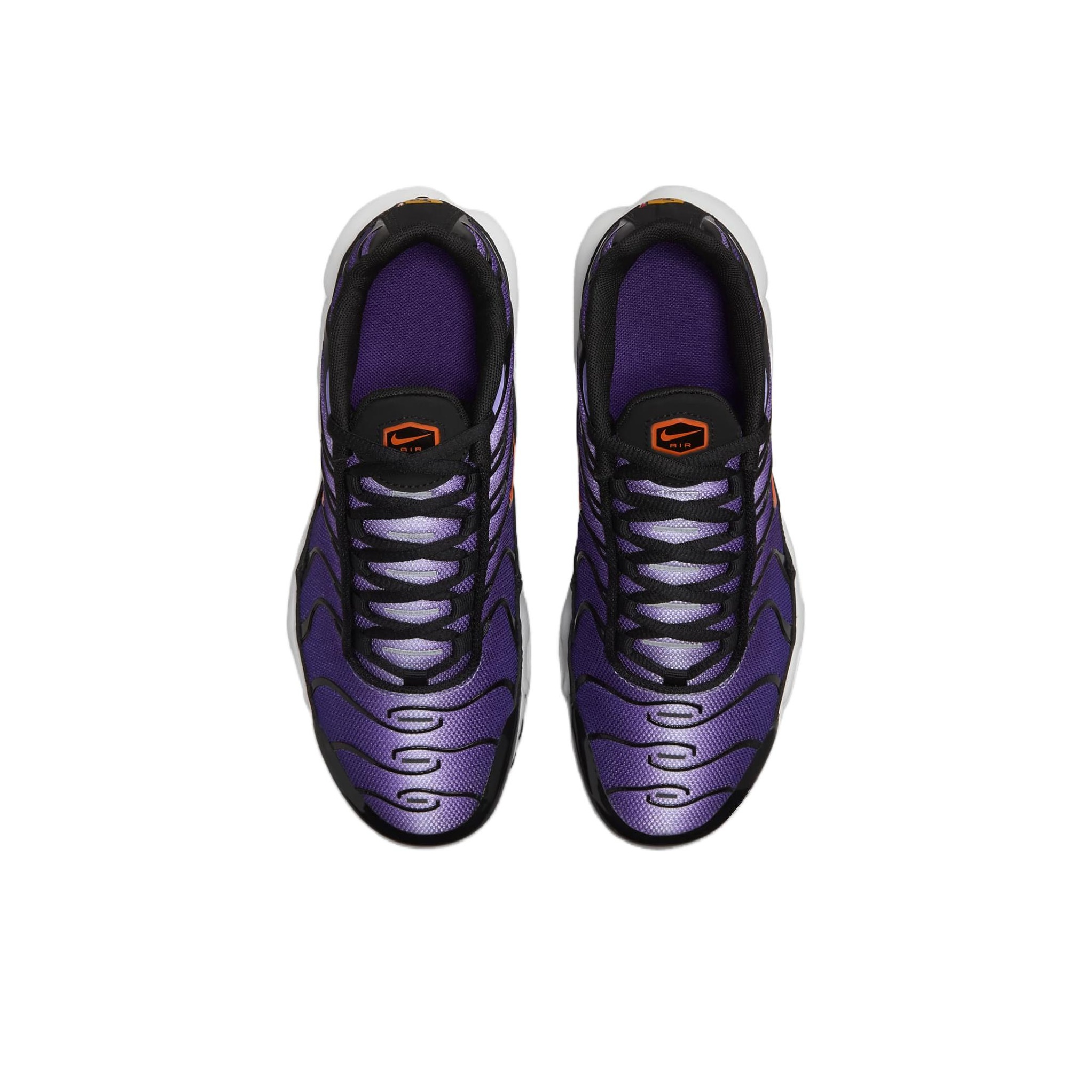 Nike Air Max Plus Og Voltage Purple 2024 GS POIZON